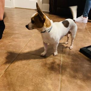 Meet your Posher, Rosa